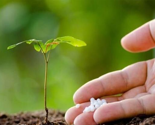 常見的幾種施肥誤區(qū)，施肥時應注意哪些問題