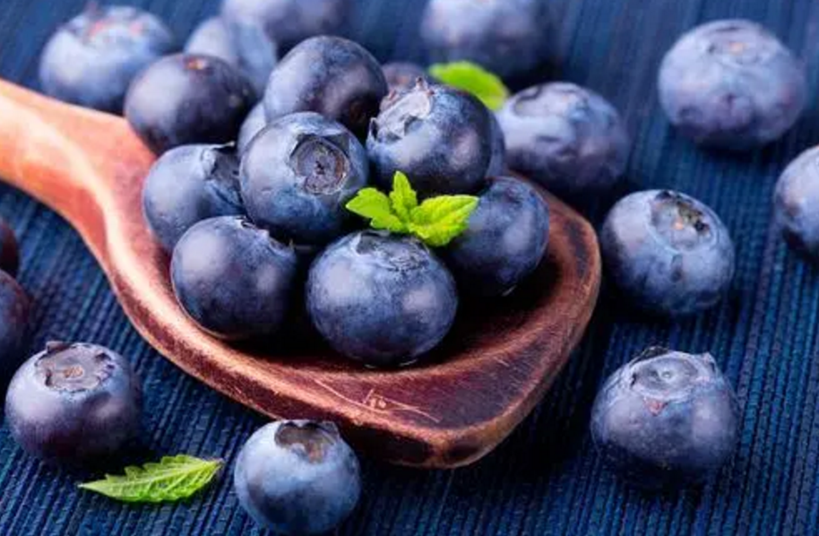 藍(lán)莓栽培技術(shù)簡介