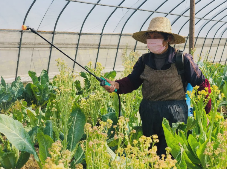 打農(nóng)藥這樣取水，是在浪費農(nóng)藥！